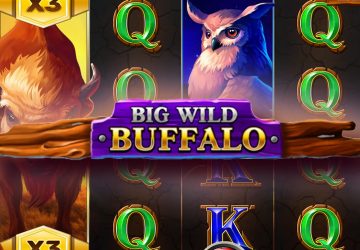 Слот Big Wild Buffalo в Malina Casino